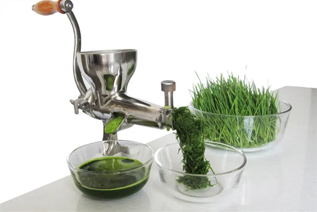 vegetable juicer extractor
