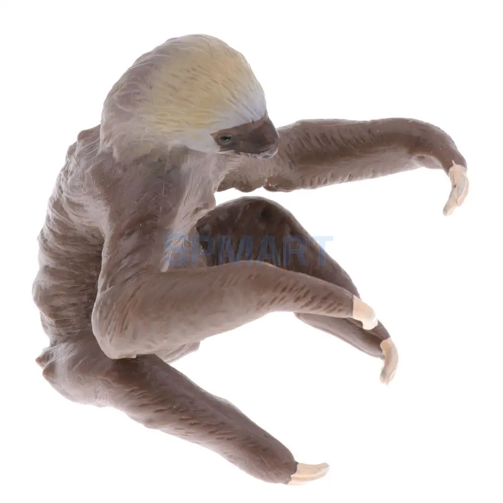 Simulation Wildlife Farm Pet Animal Model Action Figures Figurine Kid Educational Science Nature Toy Home Collectible Decoration