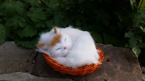 10 pieces a lot cute simulation cat model polyethylene&fur small cat in a basket gift about11x10cm 1608