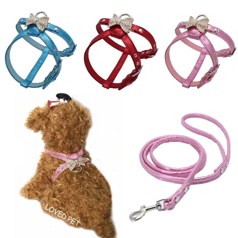 Fancy leather Jeweled Schnauzer yorkie beagle french bulldog dog collar