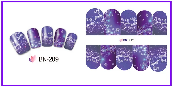 BN209