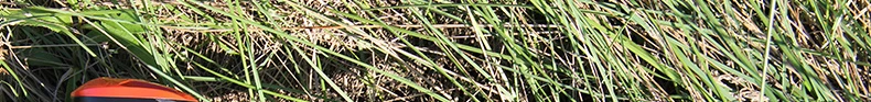 _149