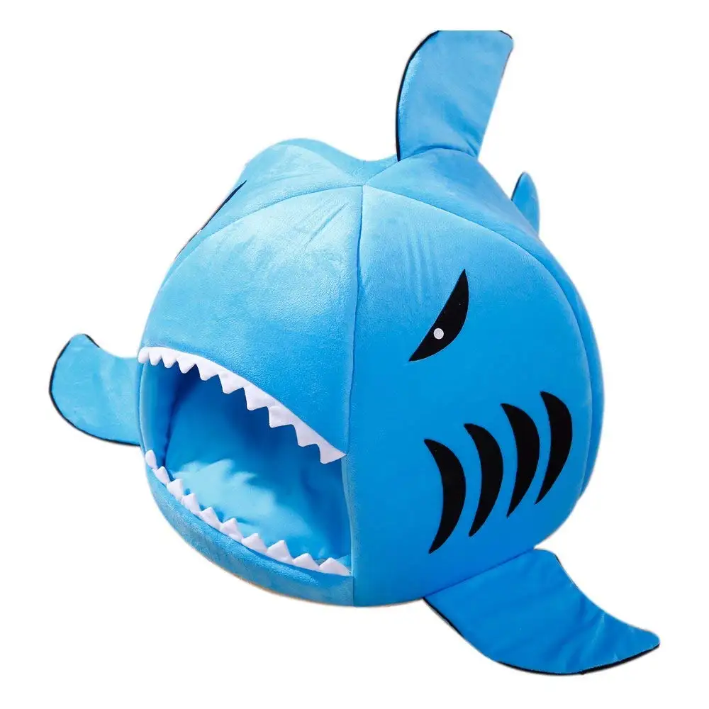 61akGC17%2BUL._SL1000_