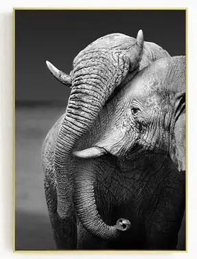 Постеры и принты с изображением слона и животных, настенная живопись на холсте, художественная фотография с изображением животных, настенные картины для гостиной, Dec - Цвет: 03