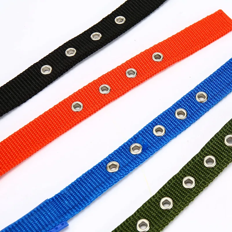 dog collar for dogs (7)