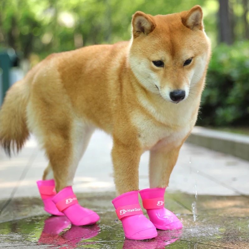 Dog Anti Slip Rain Shoes 1 Dog Anti Slip Rain Shoes 1