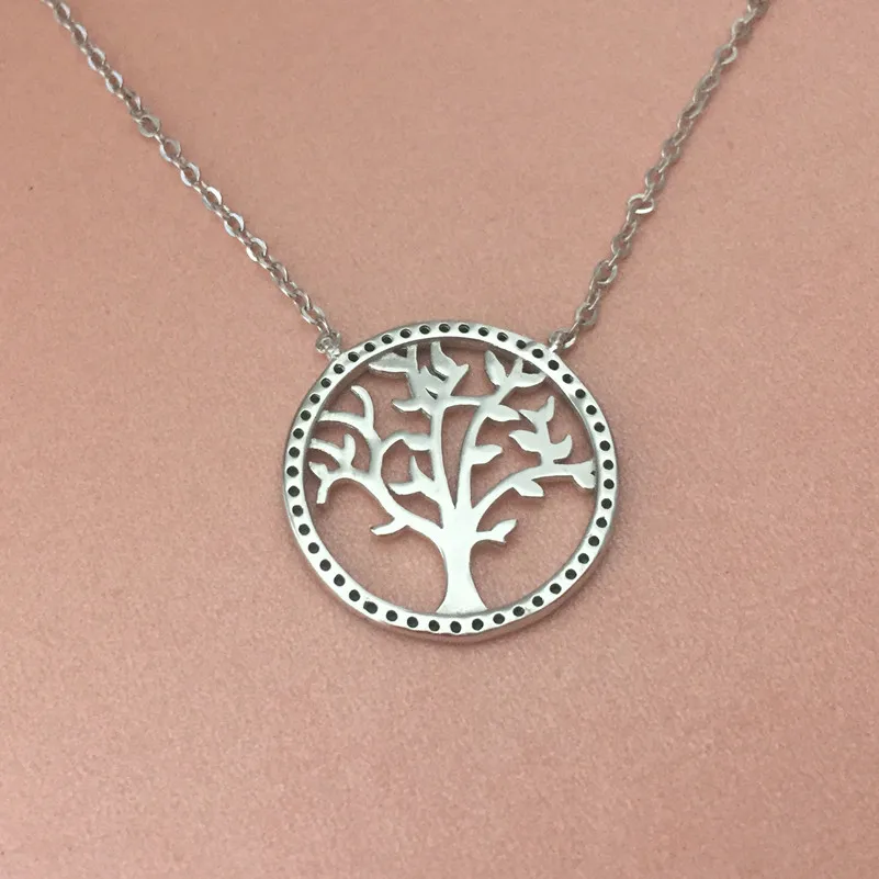IMG_6079