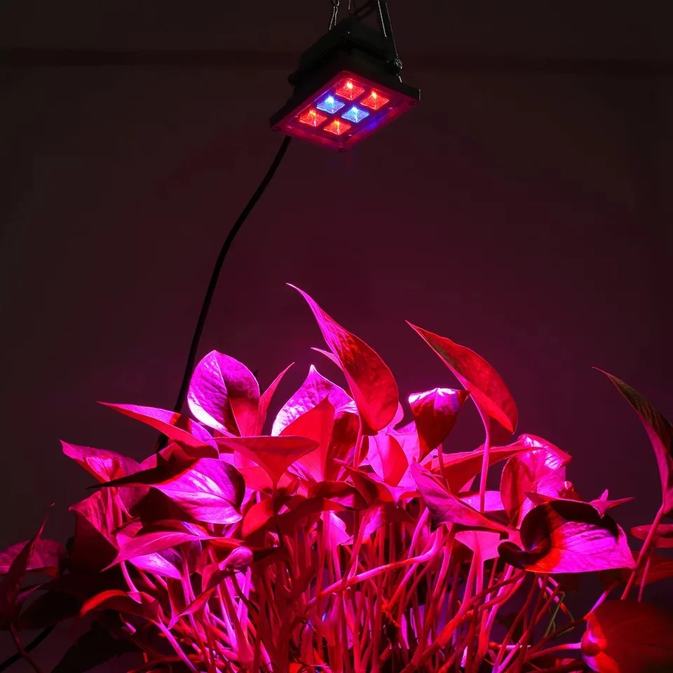 LED plant growth lamp LED floodlight spotlight AC 220V IP65 waterproof outdoor farm greenhouse vegetable planting plant growth