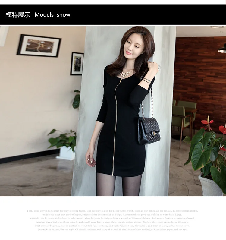 Plus Size Big Long Sleeves Femme Dress New Stylish Front Zipper Slim Spring Vestidos Over Hips Women's Clothing Dresses FD354