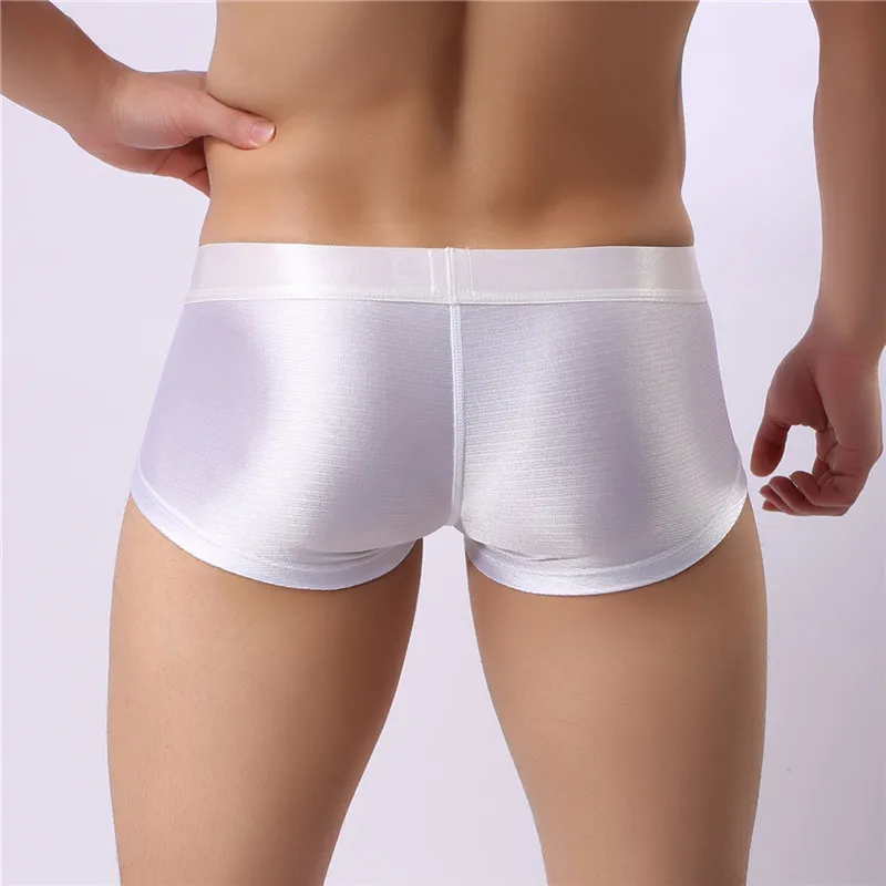 SS1white (2)