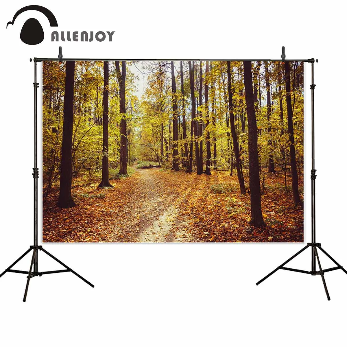 Allenjoy backdrop for photographic studio sunlight autumn forest Withered Fallen leaves park background landscape photocall | Электроника