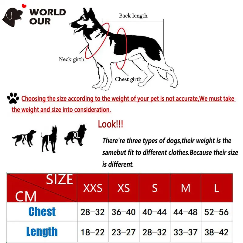 new year costume for dogs