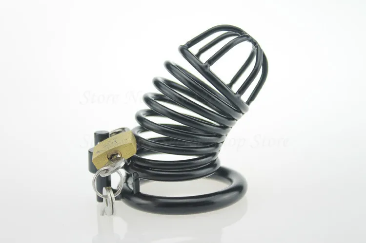 2997826646_1728770533