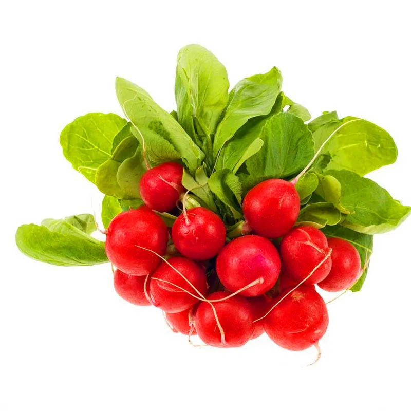 

New Fresh Redskins Fruit Radish Vegetable bonsai Garden green non-GMO Organic Vegetable Radish plant 60 PCS/Pack,#KG9SGV