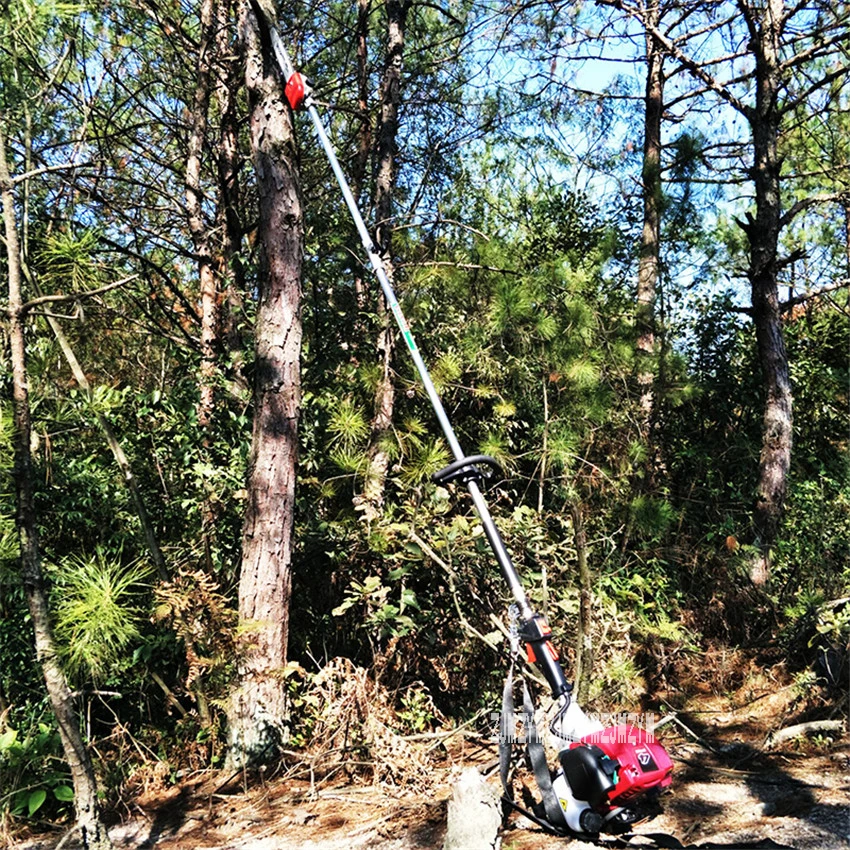 long reach pole saw