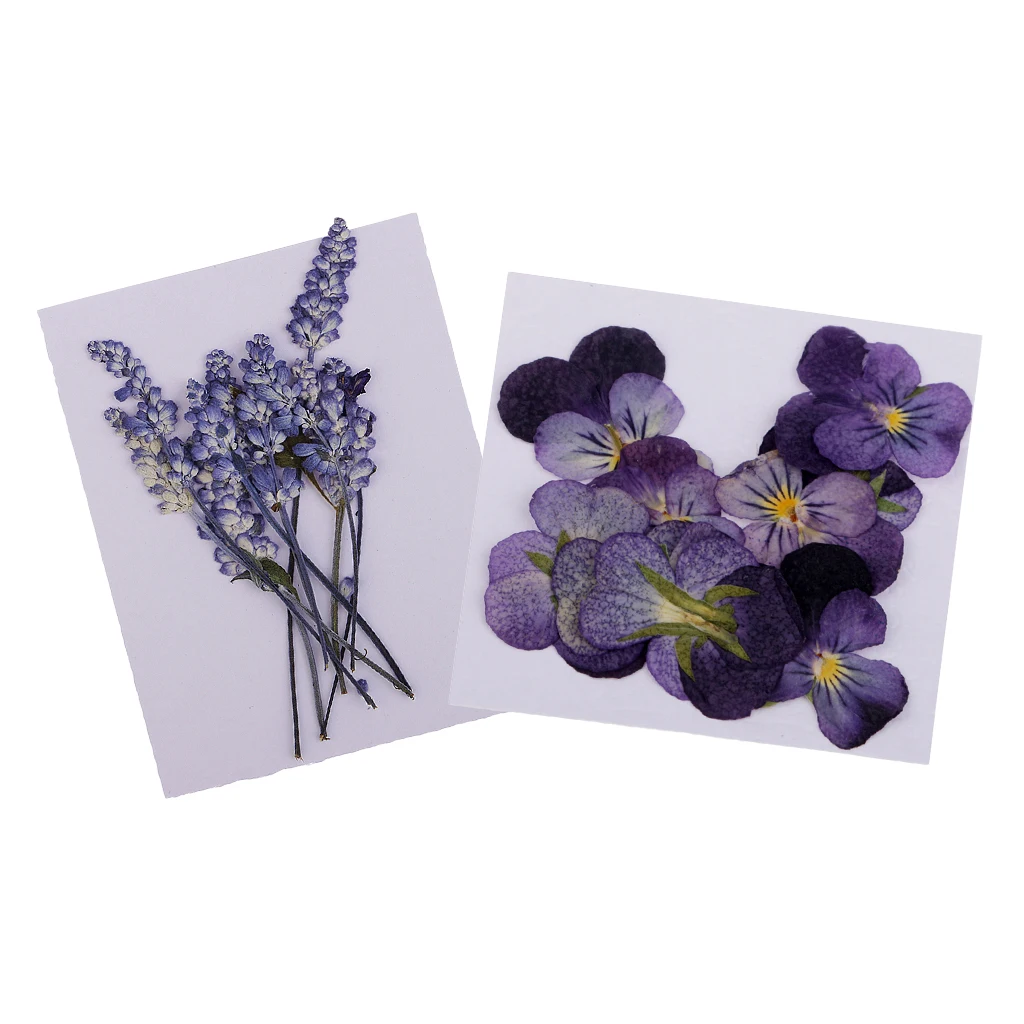 

22 Pressed Real Violet & Sage Flower Dried Flowers For Jewelry Making Crafts