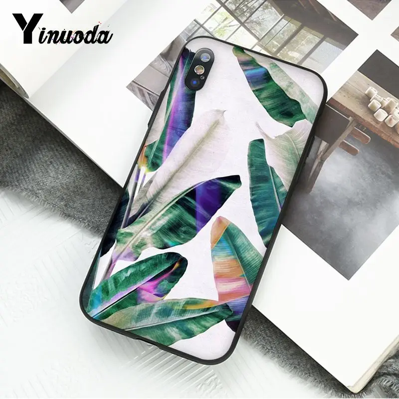 Summer Palm Leaf Banana Leaf Flowers Plants