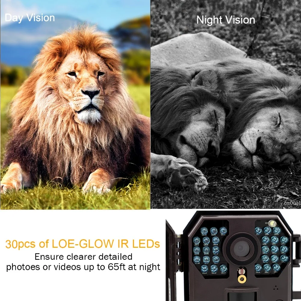 12MP Photo Traps Wildlife Camera Email MMS SMS Sending Pictures 1080P Outdoor Night Vision Hunting Traps Wild Hunting Camera 12MP Photo Traps Wildlife Camera Email MMS SMS Sending Pictures 1080P Outdoor Night Vision Hunting Traps Wild Hunting Camera