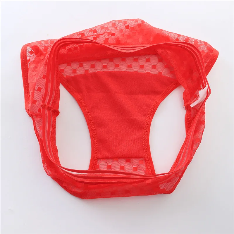 Transparent Mesh Panties Women Ultra-thin Seamless Briefs Charming Underwear Women Breathable Womens Panties Underwear Lingerie (2)