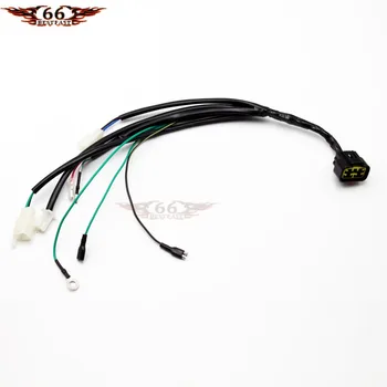 

Wire Wiring Harness Loom LIFAN W150cc ZS ZONGSHEN 155cc 150CC Engine PIT PRO Trail Dirt Bike NEW