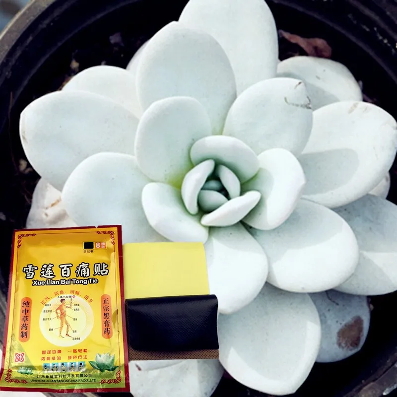 

8Pcs/Pack Snow Lotus Medical Essential oil Patch Eliminate Inflammation Pain Relief Back/Neck/Foot Health Care Plaster