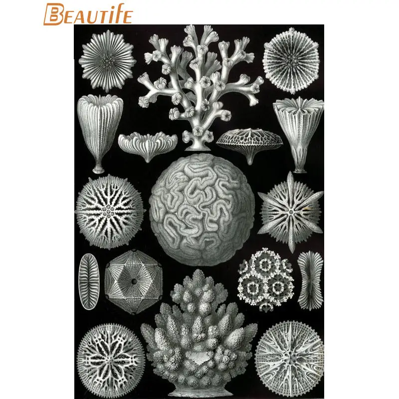 Изготовленный На Заказ энст haeckel Морская жизнь шелковая ткань плакат украшение