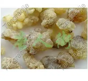 1KG Pure Natural Top Quality frankincense extract 65% Free shipping