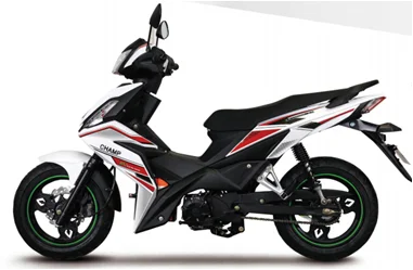 

The two gears on the right side of the handlebar are the powershift mode and the economical endurance mode.