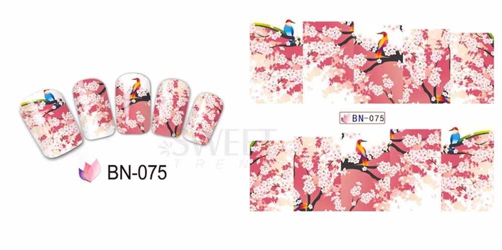 BN-075