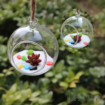

4pcs 6/8/10cm Hanging Glass Flowers Plant Vase Terrarium Container bowl Quality Rated 4.5 /5 based on 25 customer reviews