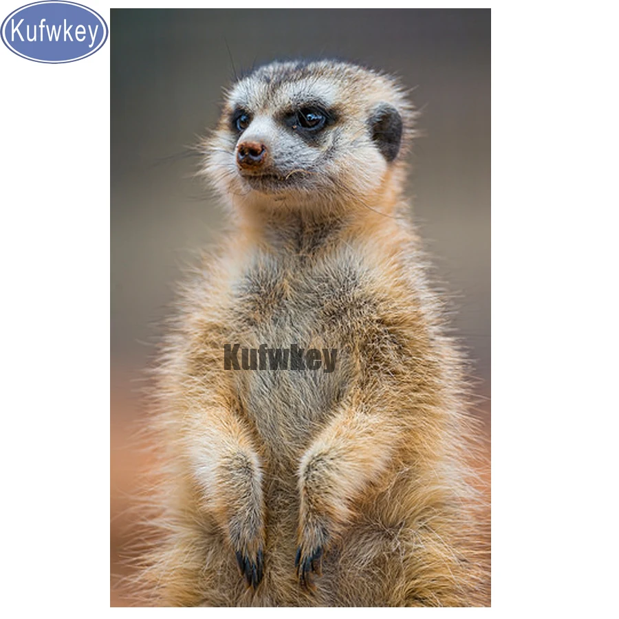 Meerkat painting diamond mosaic,5d diy diamond painting full square