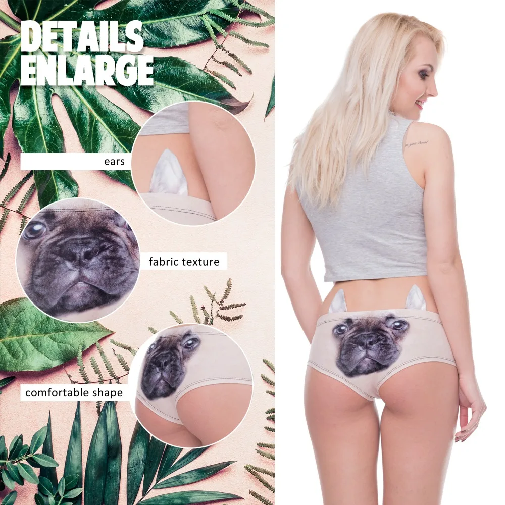 41069 french bulldog (00)