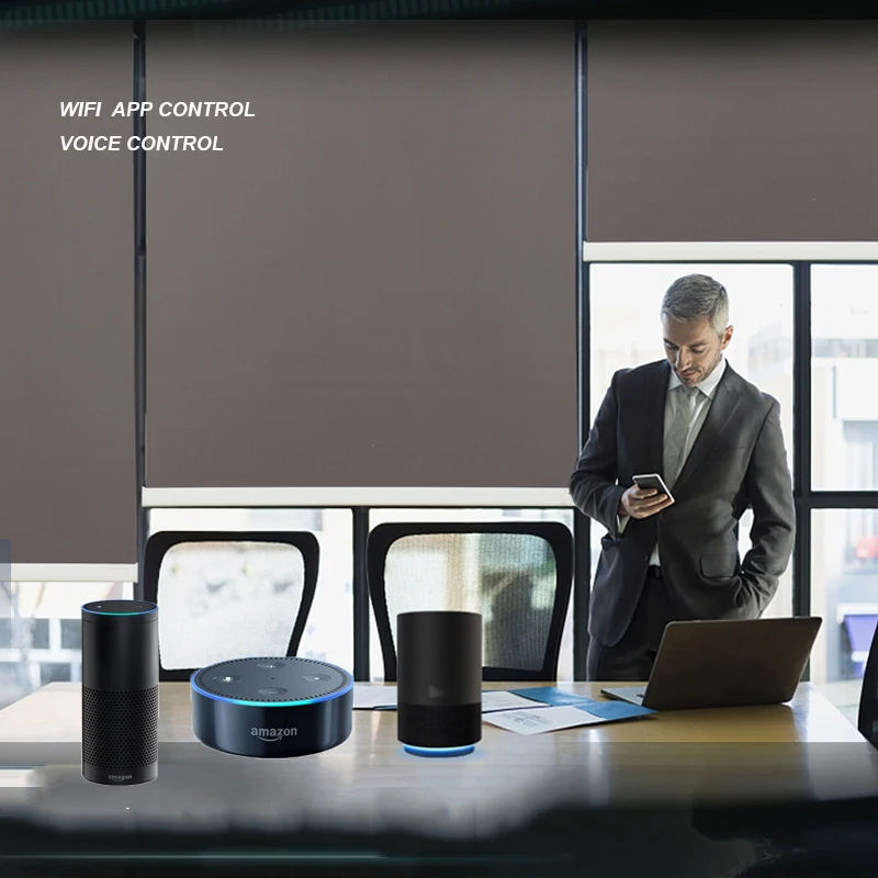 Новое поступление оригинальный трубчатый двигатель Dooya DM35F Wi Fi Alexa Google home для
