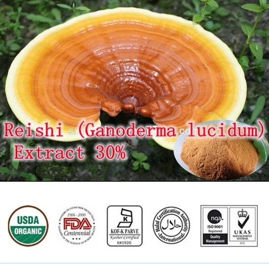 

250gram Highest Pure Reishi (Ganoderma lucidum) Extract 30% Beta 1,3/1,6 glucan improves resistance against diseases