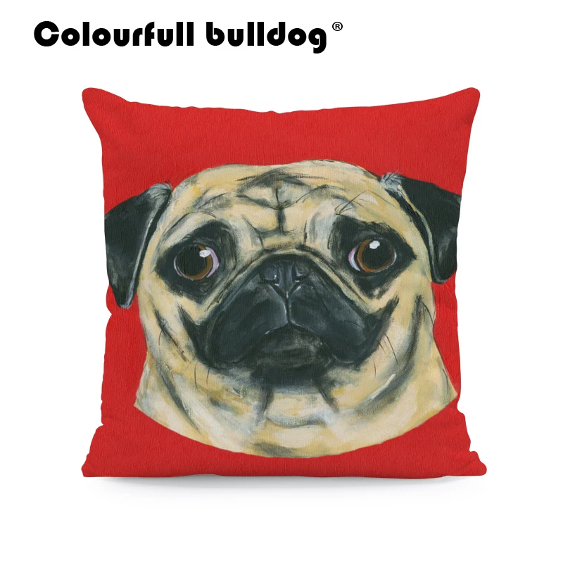 AB9166 (1) pug