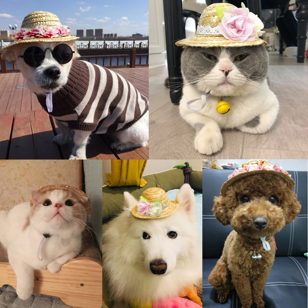 Летняя собачья шапка с котами соломенные собаки Sombrero шляпа для животных