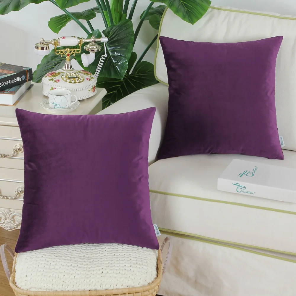 2PCS Square CaliTime Cozy Throw Pillow Covers Cases for Couch Sofa Bed