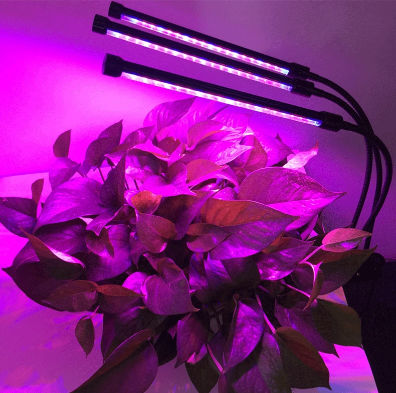 USB DC5V Фито лампа полного спектра светодиодный Grow Light завод лампа фитолампа для гидропоники рассады цветок Fitolampy Тепличный тент