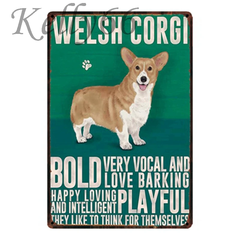 [ Kelly66 ] WELSH Metal Sign Tin Poster Home Decor Bar Wall Art