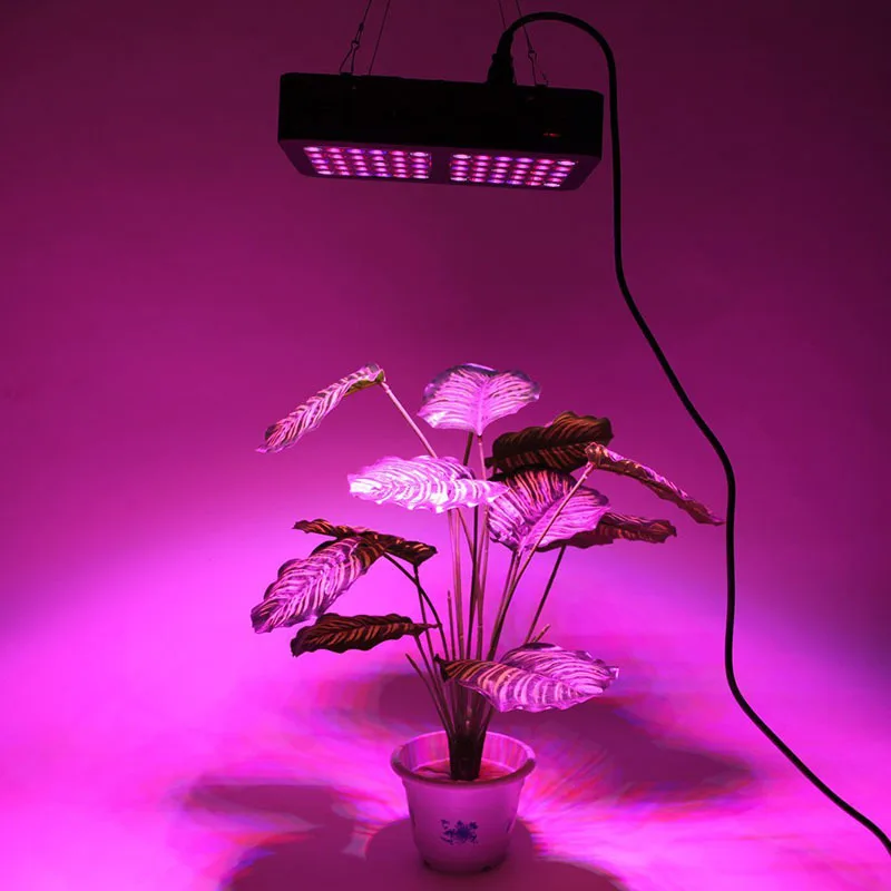 Abay 600 W отражатель-светодиодный LED Grow Light полный спектр растение лампа панель с подвесными комплектами для теплицы комнатных растений