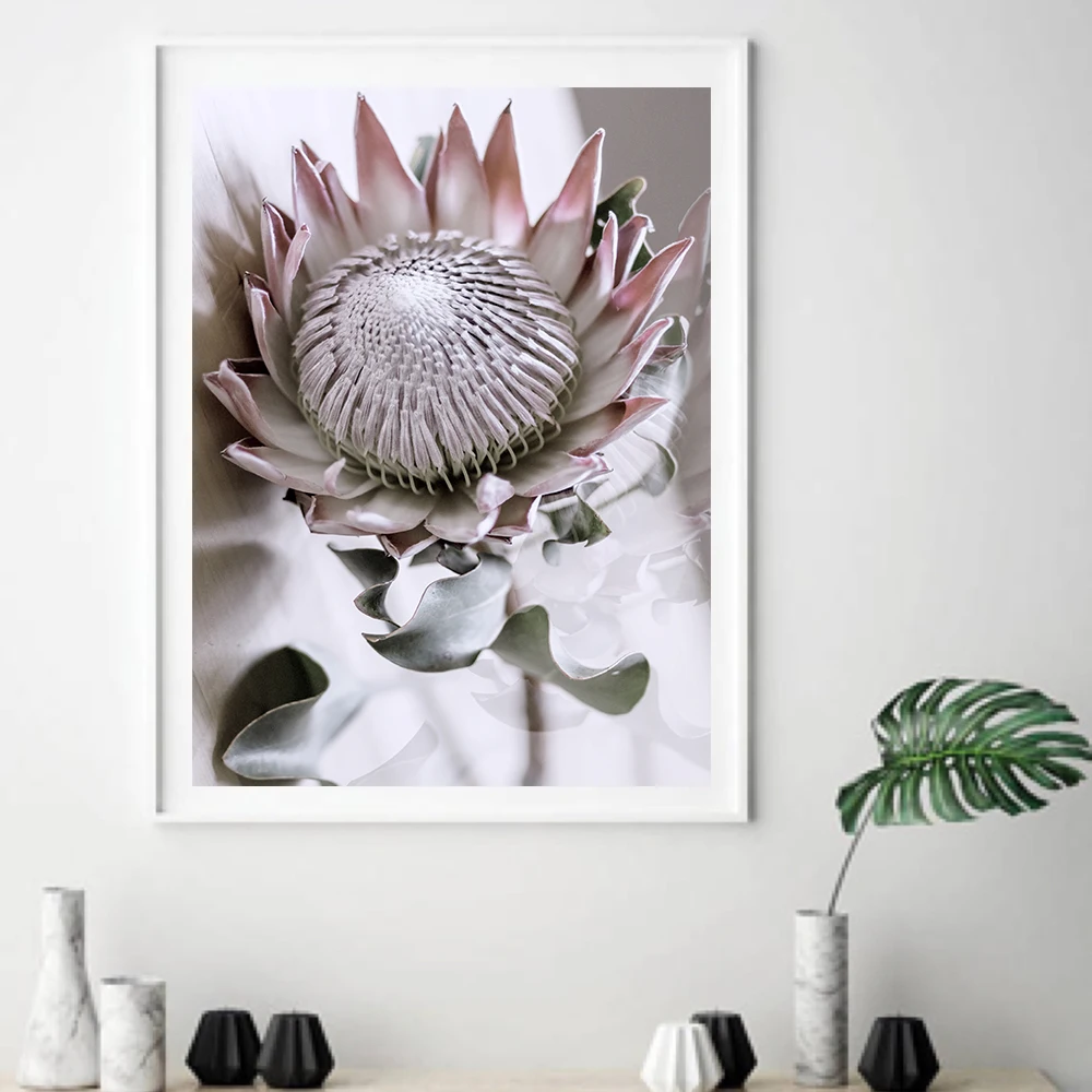 Protea Flower скандинавский настенный художественный холст постер с принтом украшение