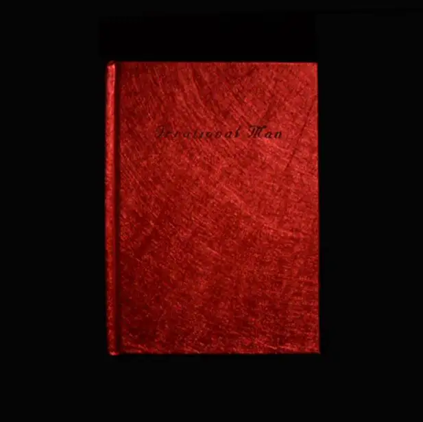 Крутая Мода, ограниченная серия, дневник в твердом переплете, супер толстый блокнот 19*14,5 см, пустая бумага, 402 листов