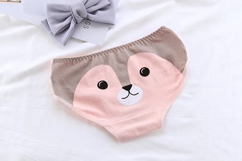 New Arrived Girl Panties Girl Underwear Cartoon Panties Girl Briefs Cotton Lingerie Soft Comfortable Lovely Panty