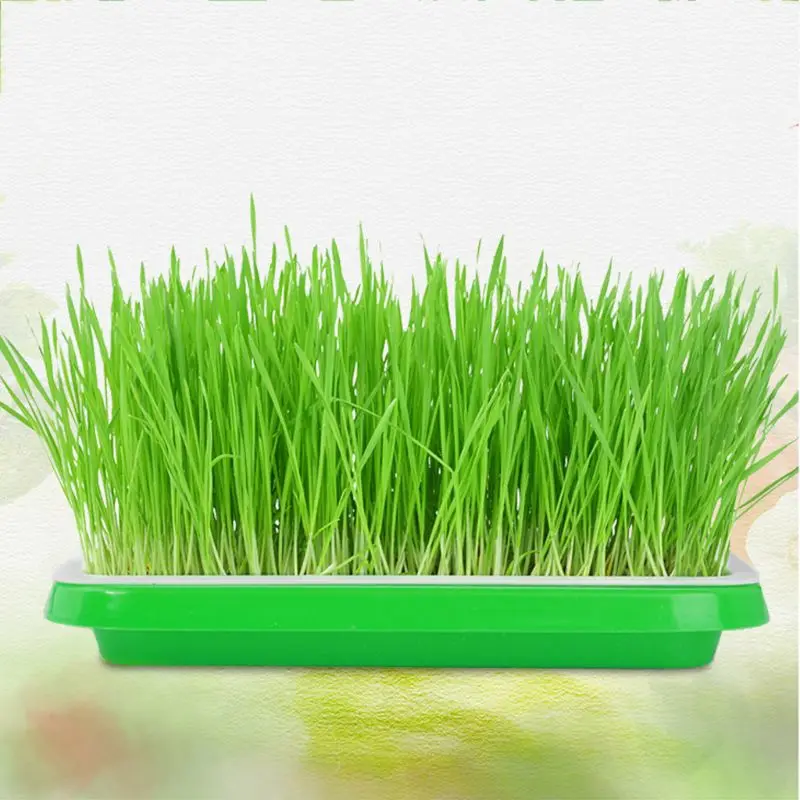 2019 New Hydroponics Seedling Tray Sprout Plate Hydroponics System Nursery Pots Tray Garden Supplies