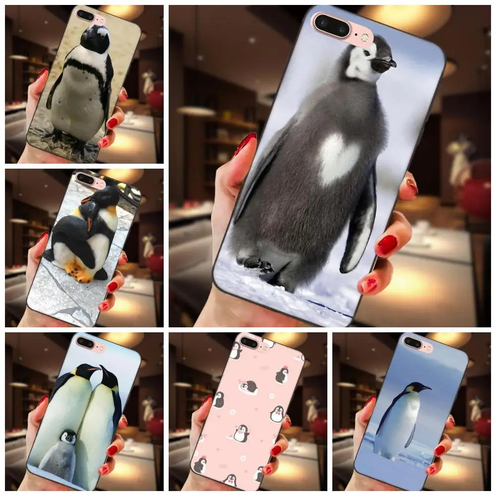 

For Apple iPhone X XS Max XR 4 4S 5 5S SE 6 6S 7 8 Plus Soft Silicone TPU Black Cell Phone Case Cover Lovely Penguin Vinyl