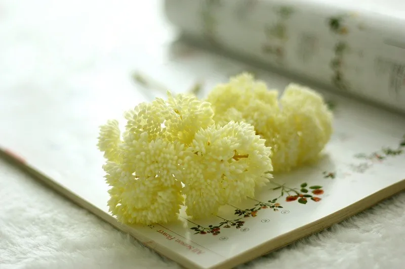 Colorful Plastic Rice seed Rustic Artificial fruit Fake aglaia mini fruit Wedding Decorative Flowers bonsai Home Decor (5)