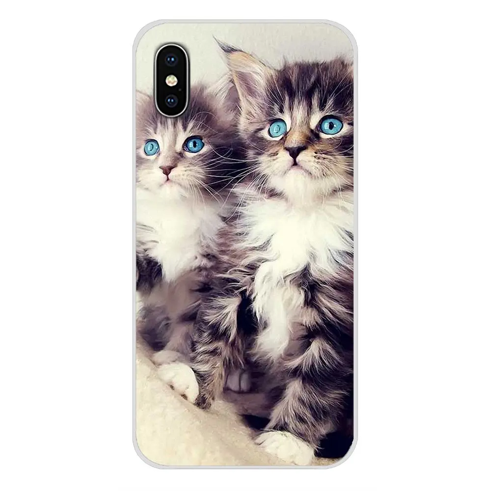 Силиконовые чехлы для телефонов милые молитвенные котята коты Apple iPhone X XR XS MAX 4 4S 5