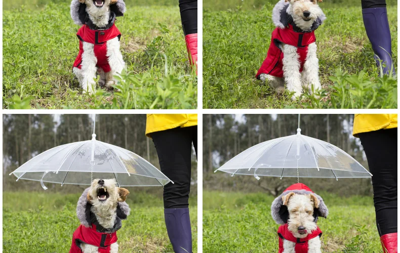 Прозрачный Собака Зонт с поводок pet открытый непромокаемые Поставки Собака Ведущий для маленький средний Диаметр 30 дюйм(ов