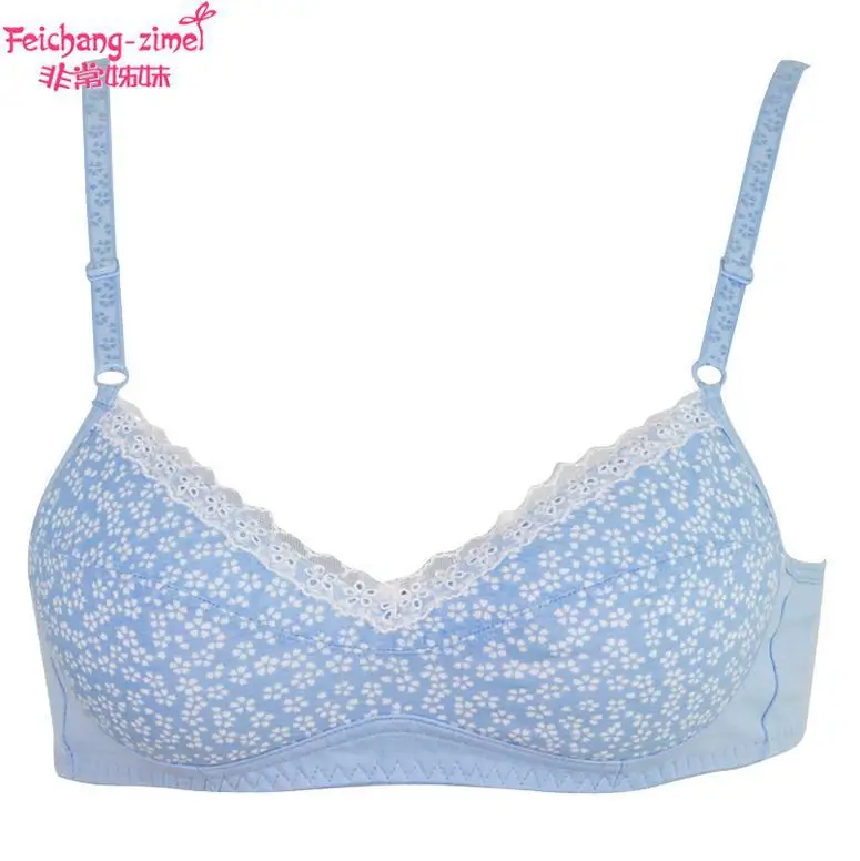 Free Shipping 2016 Feichangzimei Teenage Girl Underwear