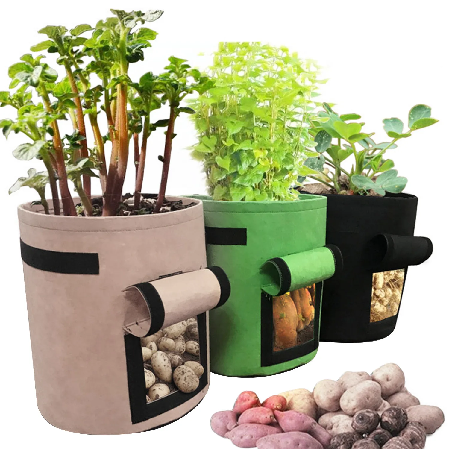 Behogar 3PCS Assorted Colors 7 Gallon Vegetables Potato
